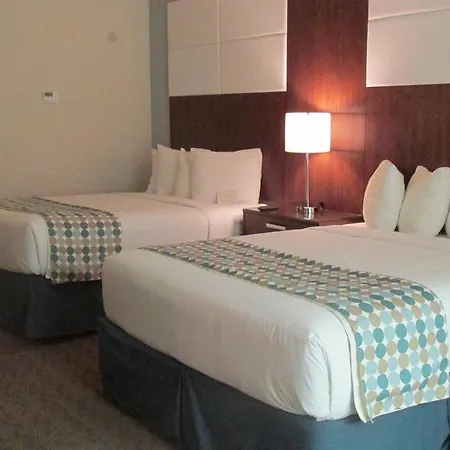 Wyndham Garden Amarillo-2